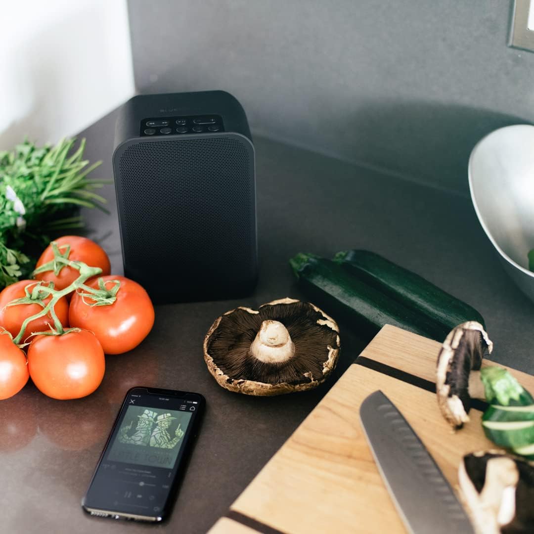 Bluesound Pulse Flex 2i