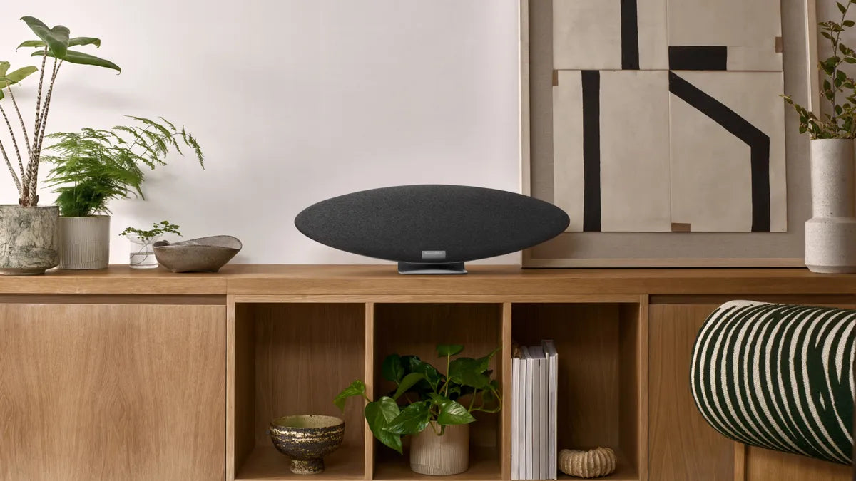Bowers & Wilkins Zeppelin Pro Edition (rymdgrå)