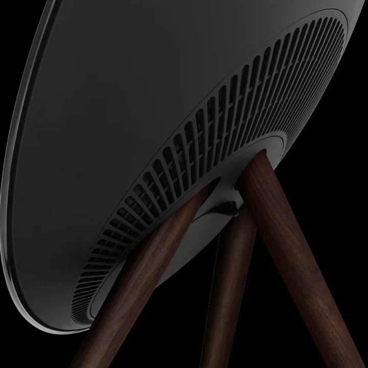 Bang & Olufsen Beosound A9