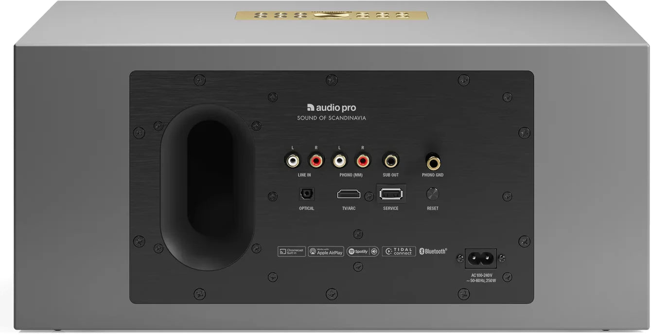 Audio Pro C20 (Svart)