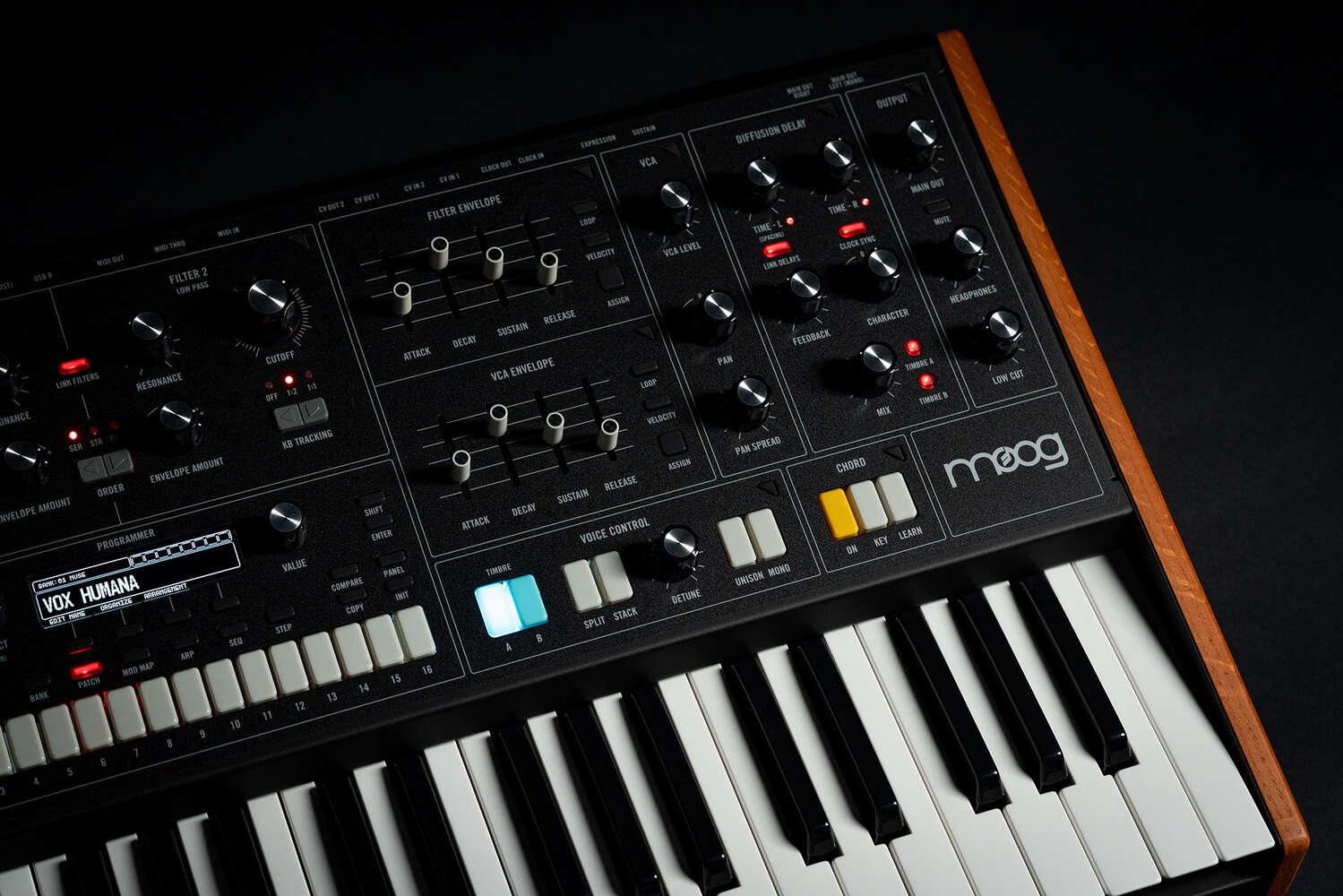 Moog Muse