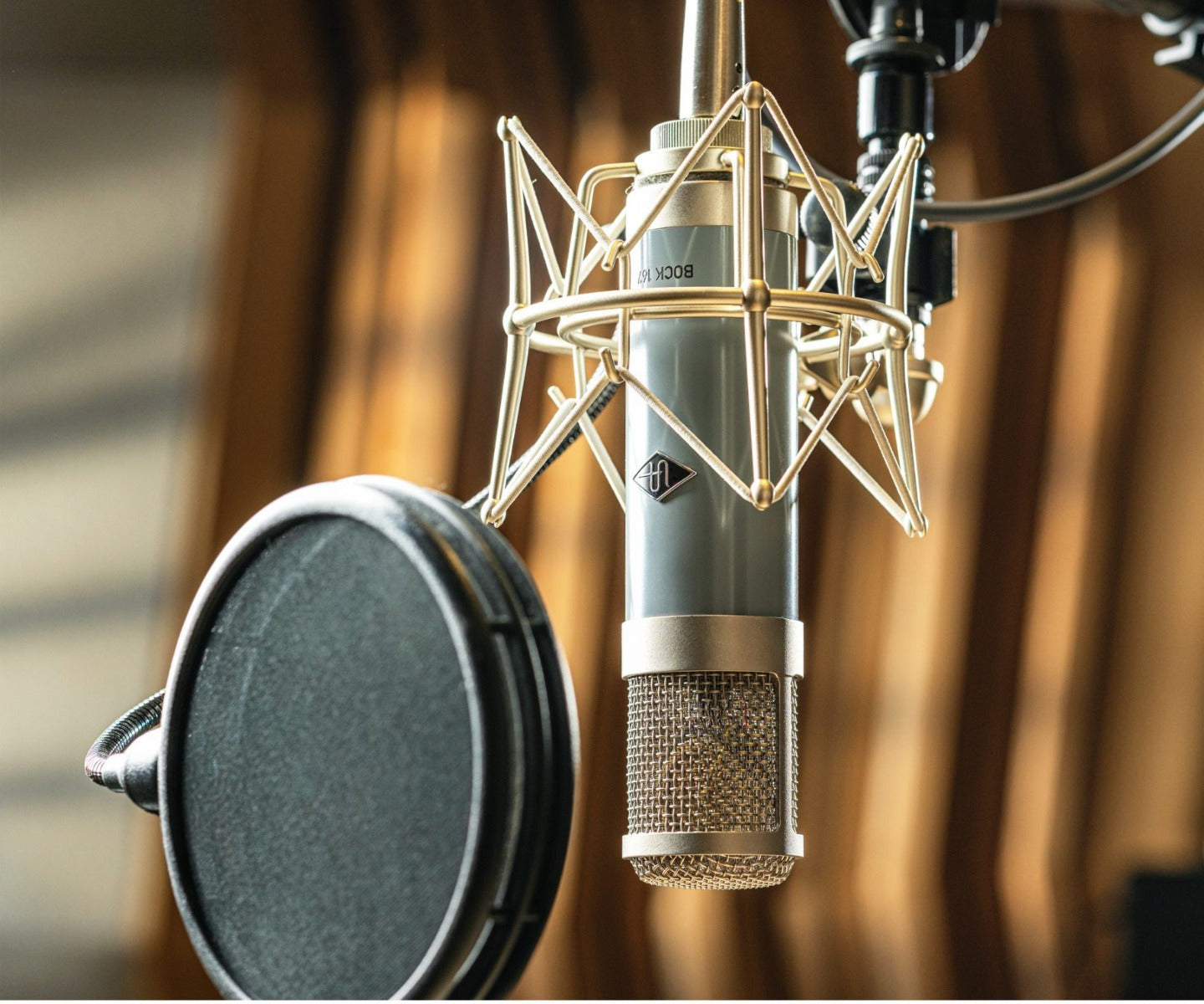 Universal Audio Bock 167