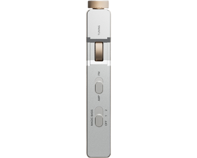 FiiO RR11 (Titanium Gold)