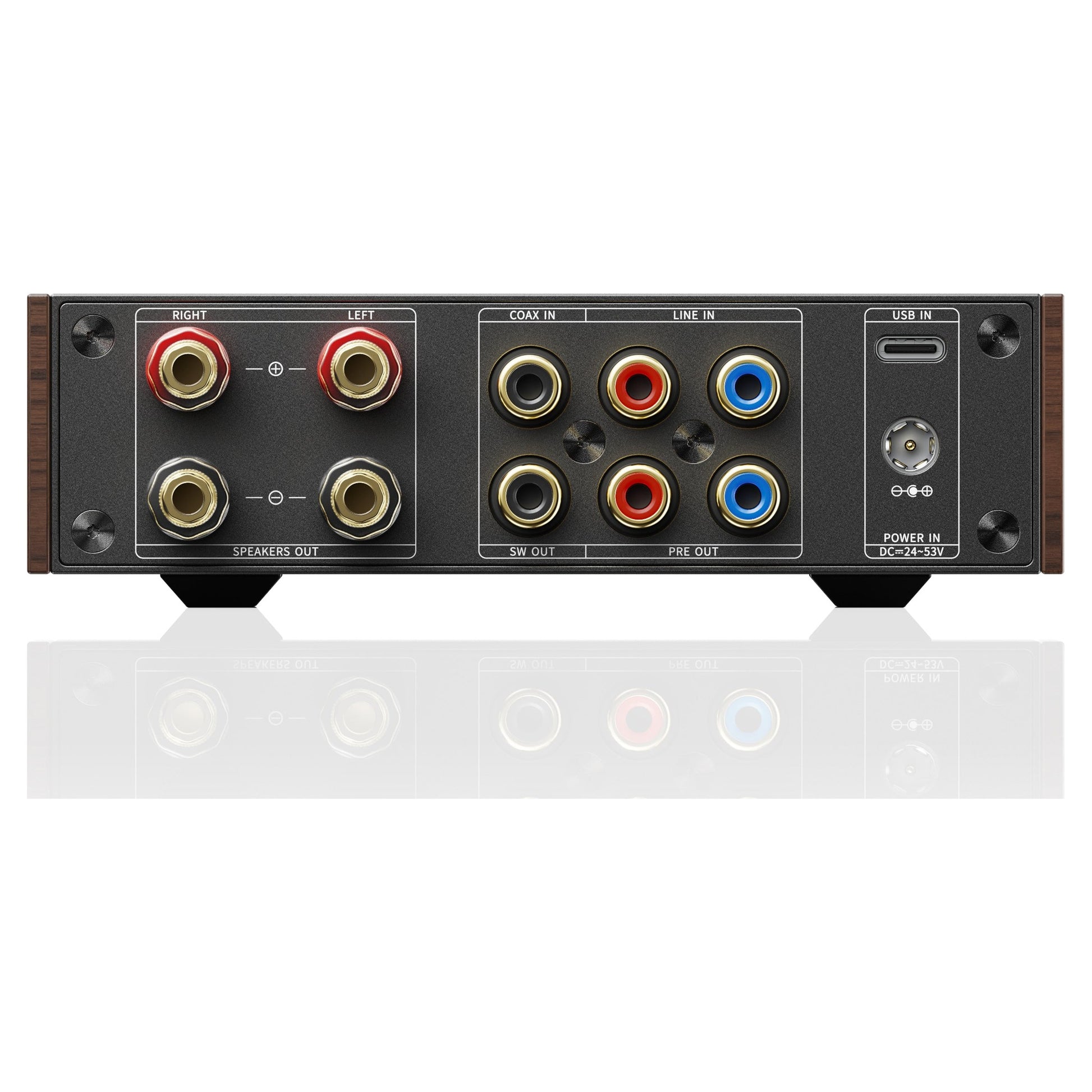 FiiO Level 1 rear panel inputs and outputs, walnut