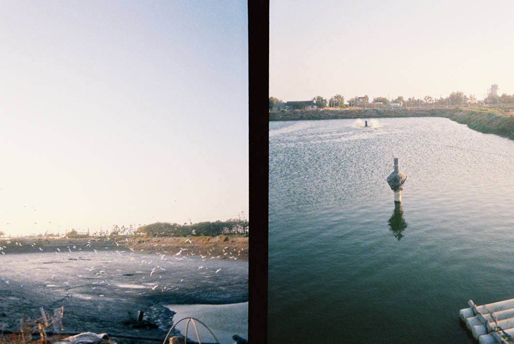 Kodak EKTAR H35 Half Frame Camera