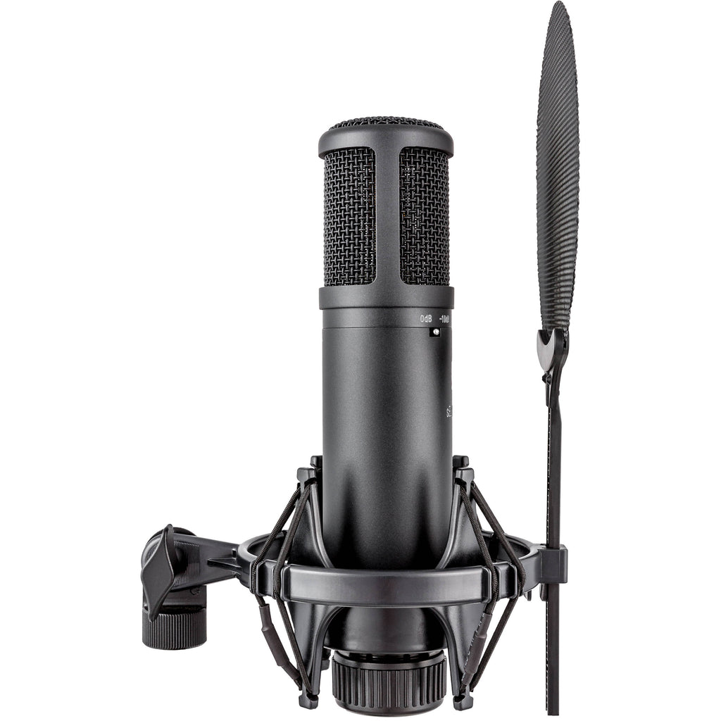 sE Electronics sE2200 condenser microphone with a large diaphragm, shown on a stand, ideal for studio recording.