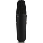 Warm Audio WA-87 R2 condenser microphone shown with its vintage-inspired design and large diaphragm for studio recording.