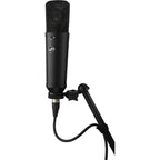 Warm Audio WA-87 R2 condenser microphone shown with metal body, grille, and control switches, ideal for studio recording.