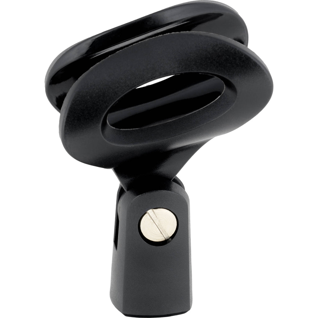SE Electronics V2 dynamic microphone with switch, showing its sleek black body and front grille for professional audio recording.