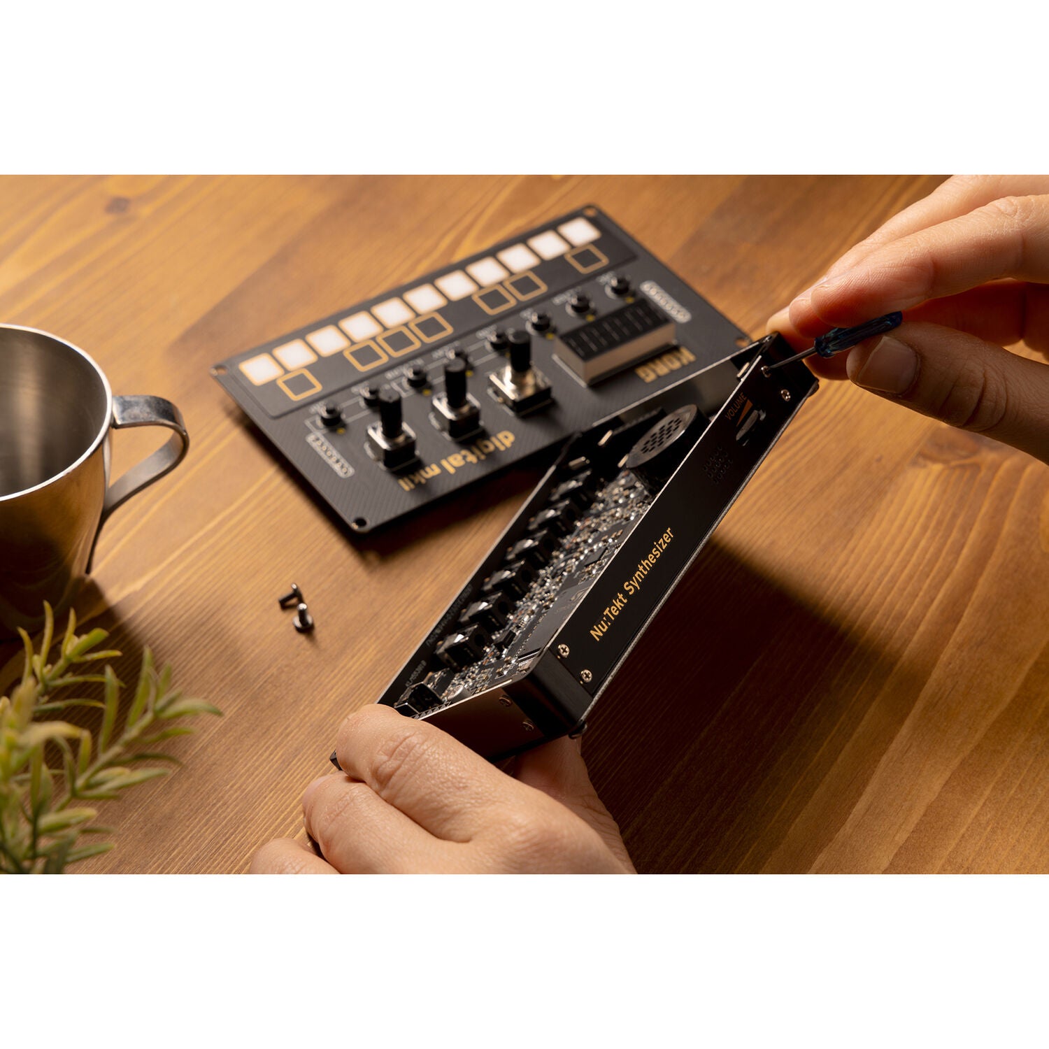 KORG Nu:Tekt Synthesizer 25キー 【公式通販】