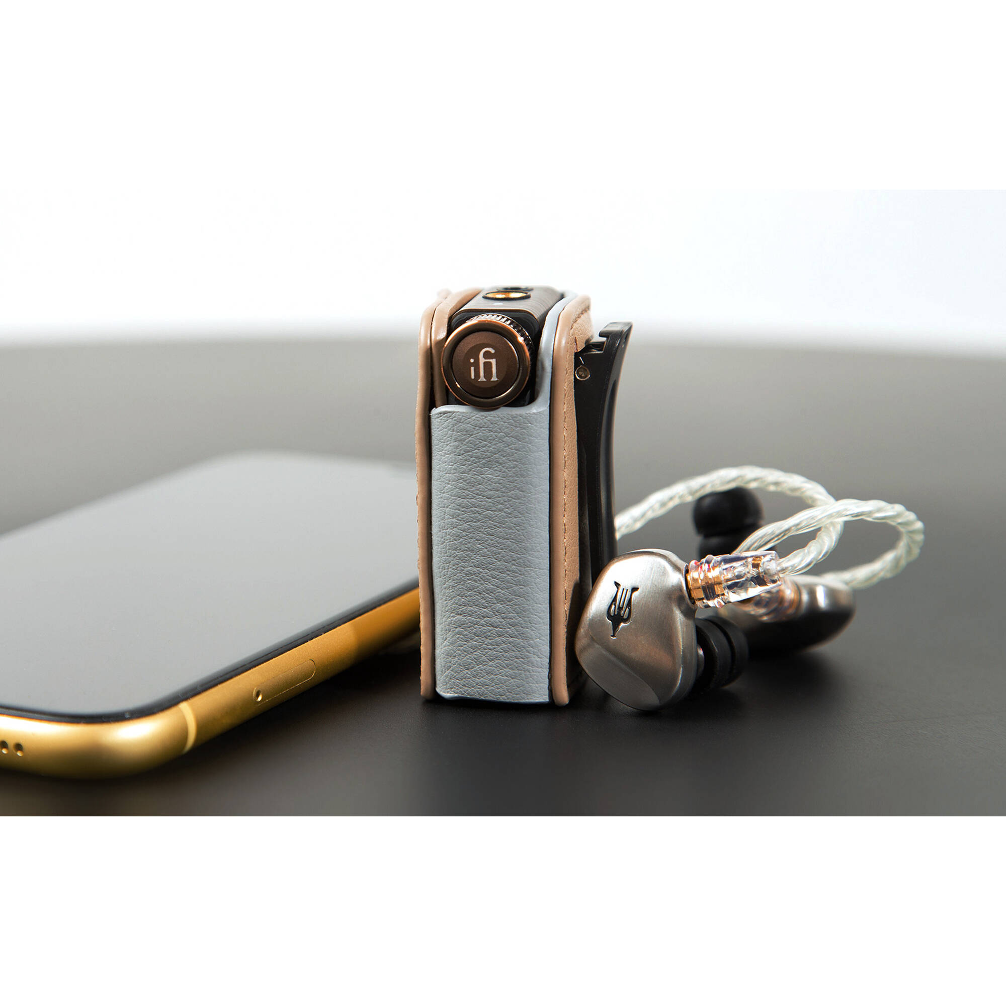 iFi Audio Go BLU kohver
