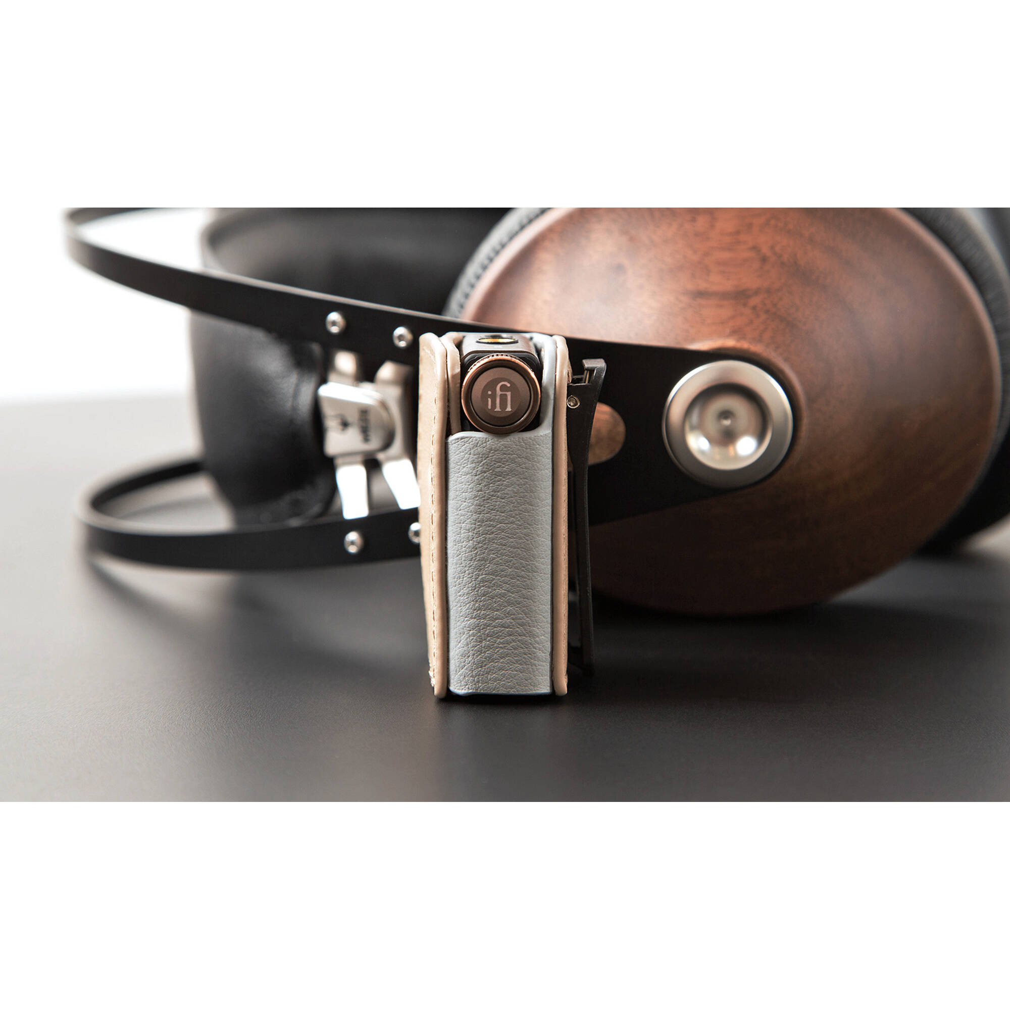iFi Audio Go BLU kohver