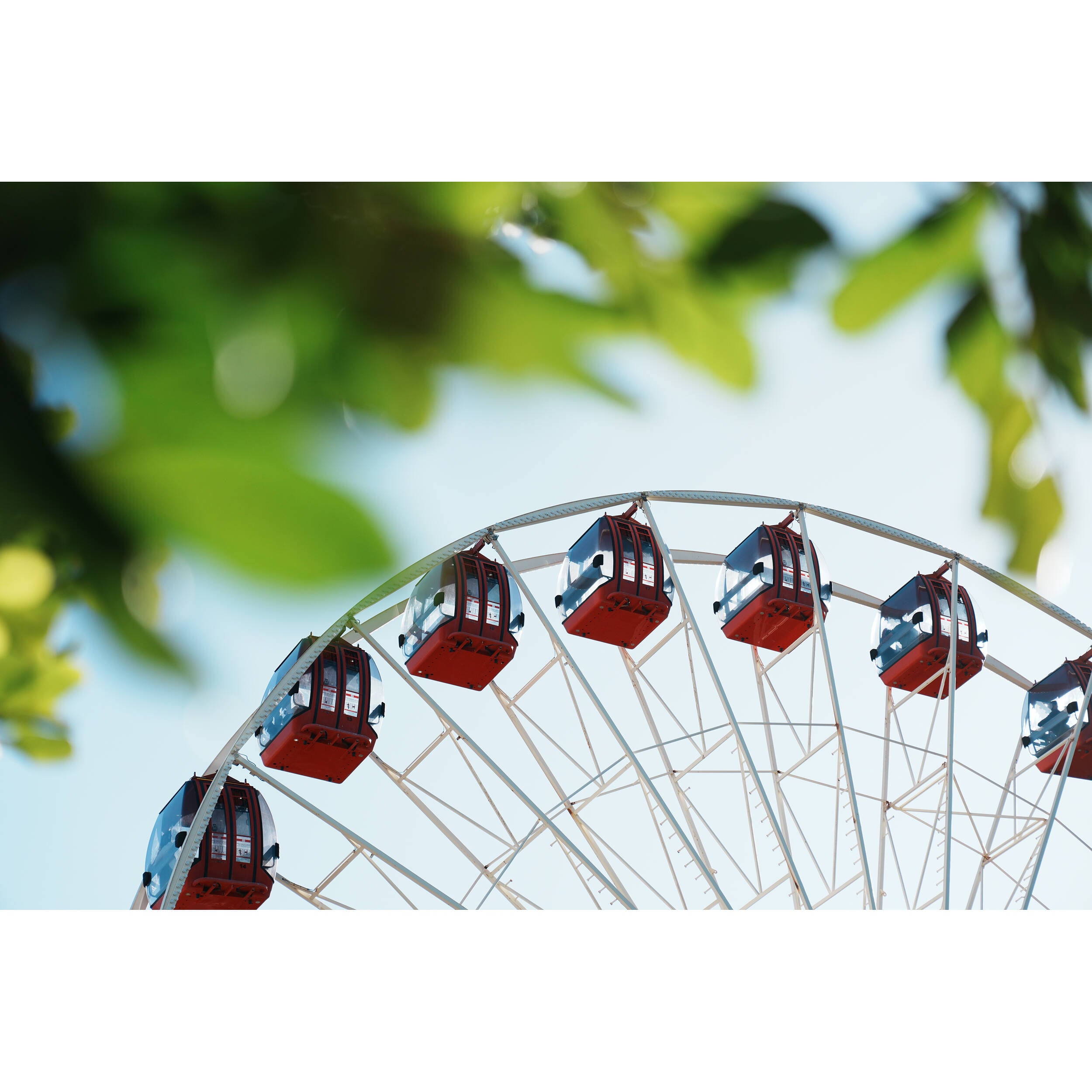 Sony Alpha 6700 + 18-135mm Zoom Lens