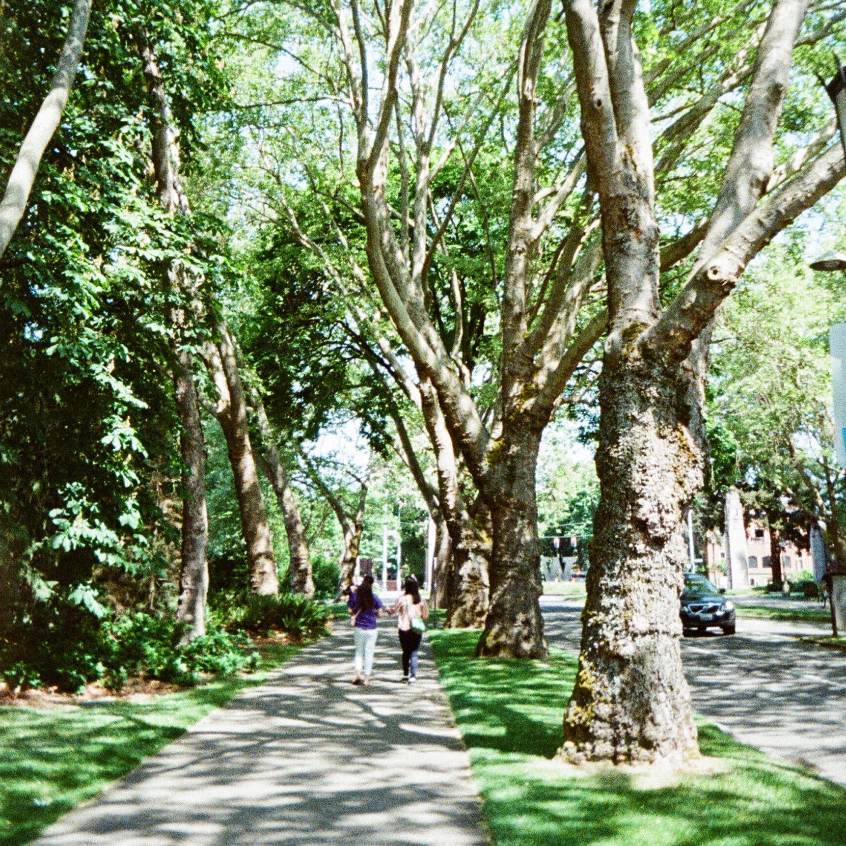 Kodak EKTAR H35N Camera