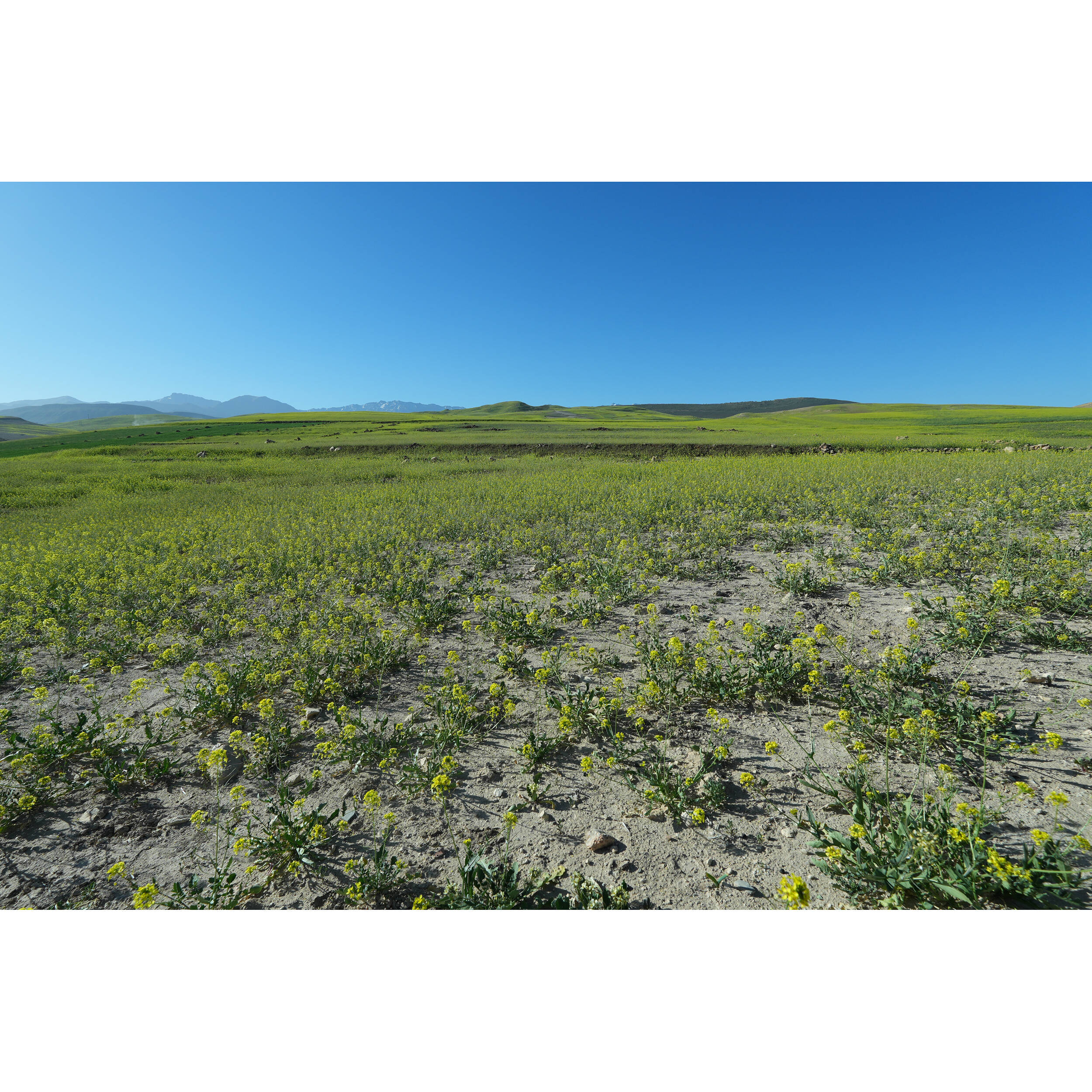 Sony ZV-E10 II + 16-50mm Zoom Lens