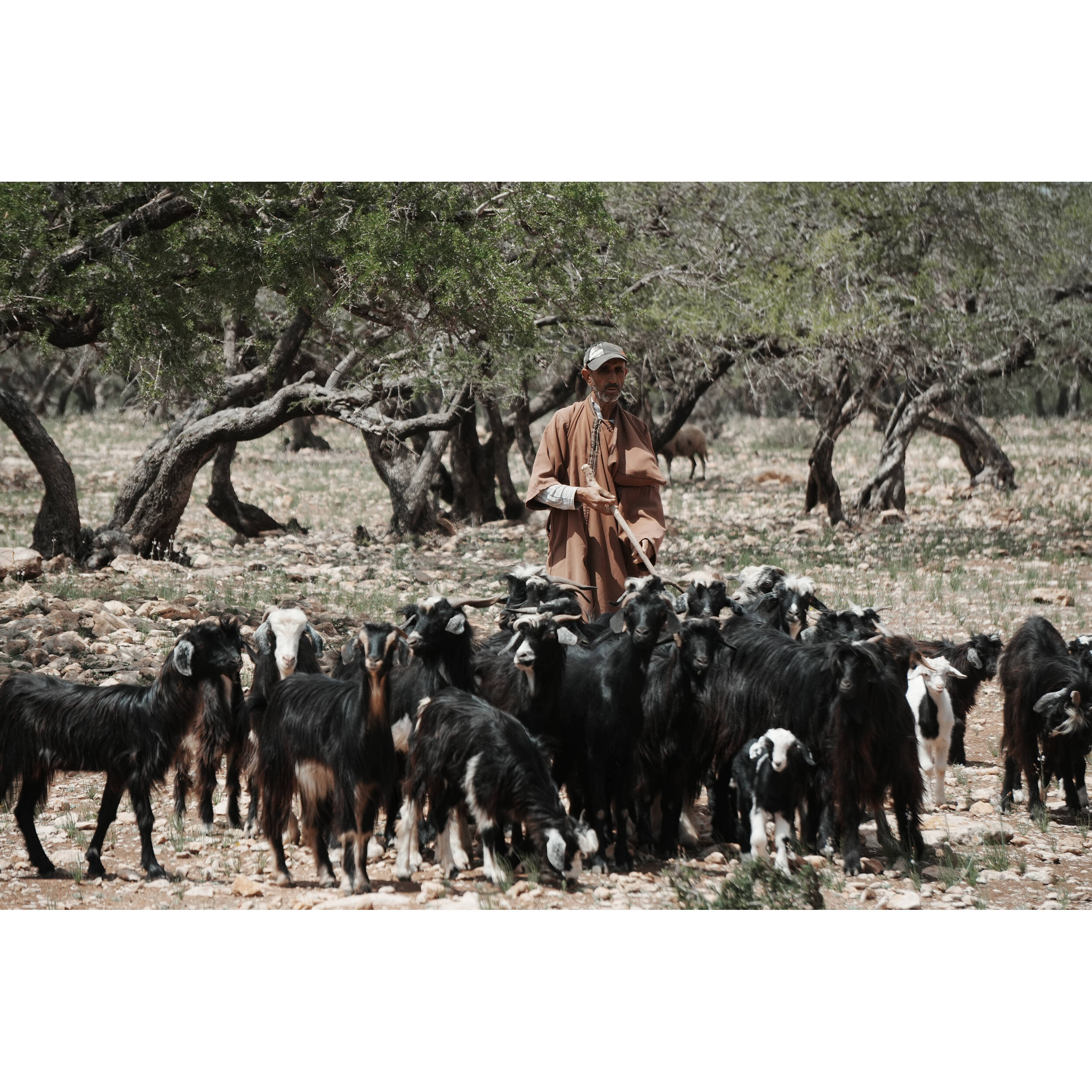 Sony ZV-E10 II + 16-50mm Zoom Lens