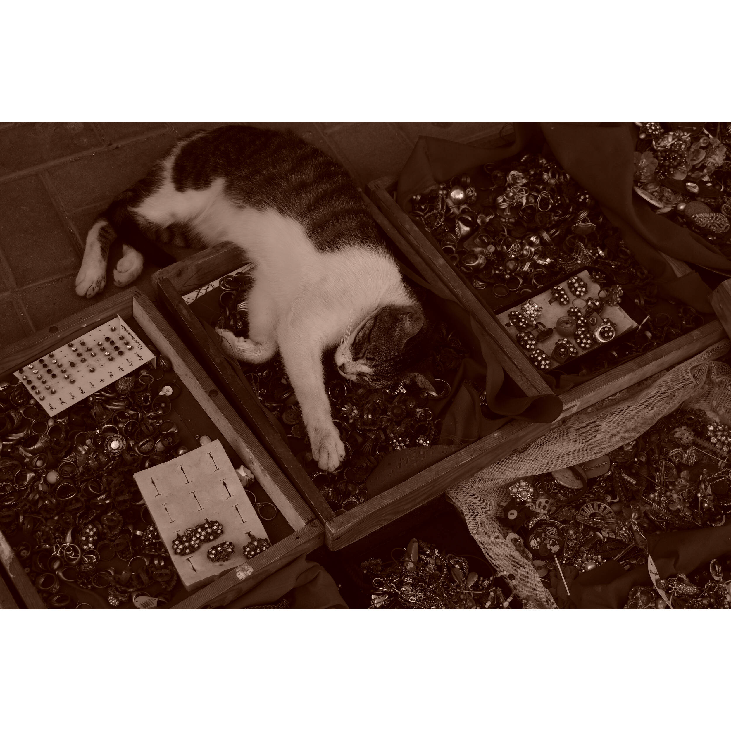 Sony ZV-E10 II + 16-50mm Zoom Lens