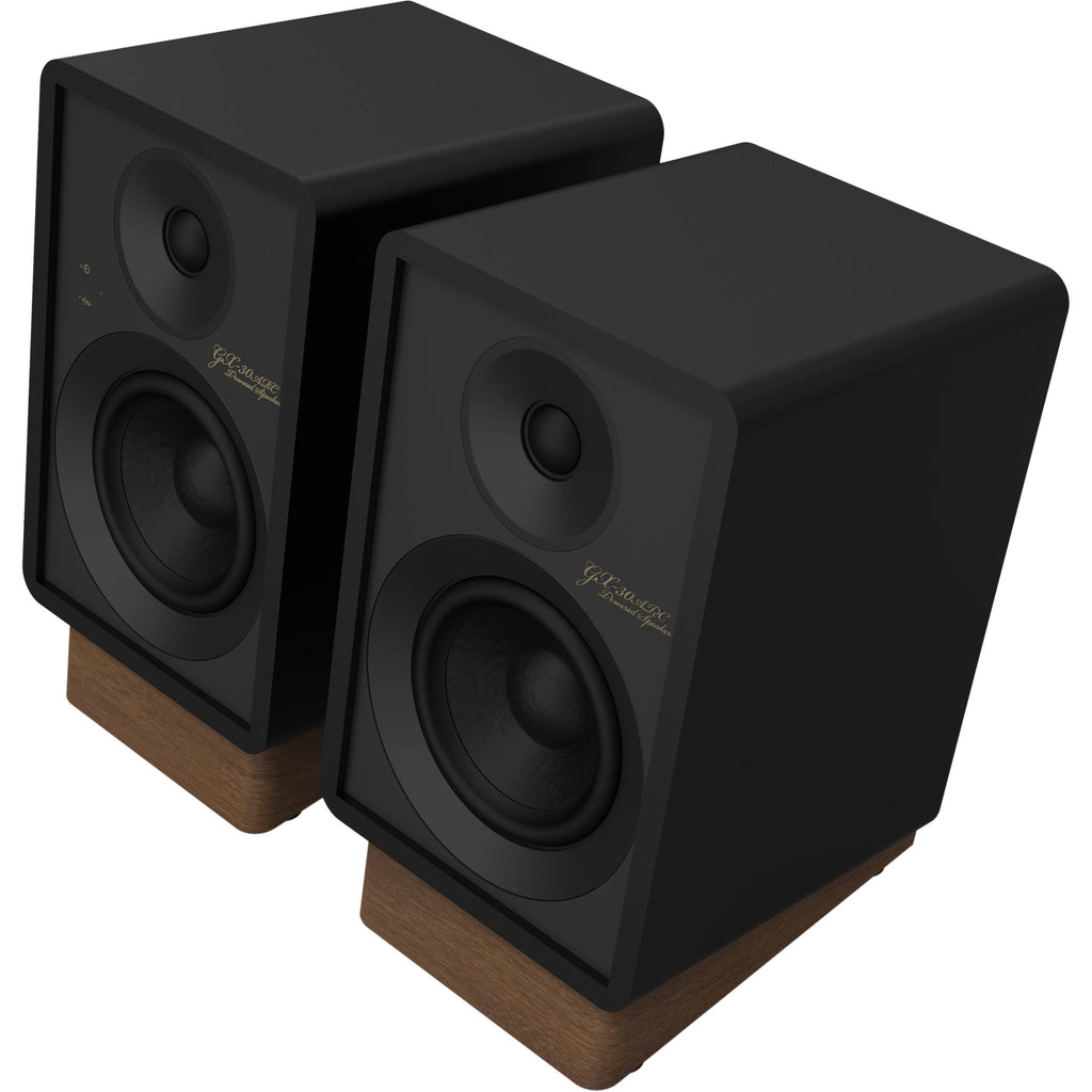 Onkyo GX-30ARC desktop speakers with sleek black design and audio ports visible, ideal for high-quality computer audio setup.