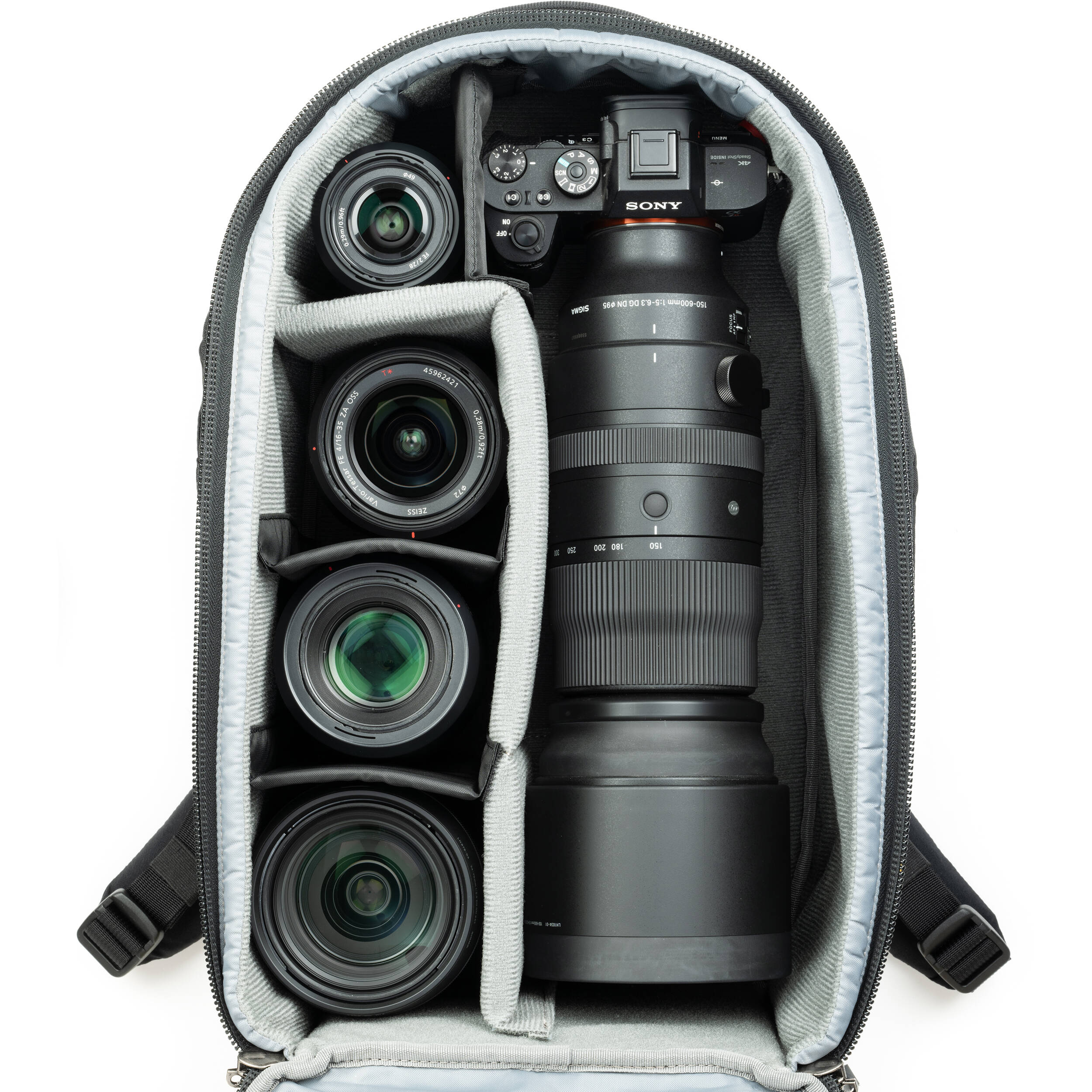 Think Tank Walker Pro Series Backpack