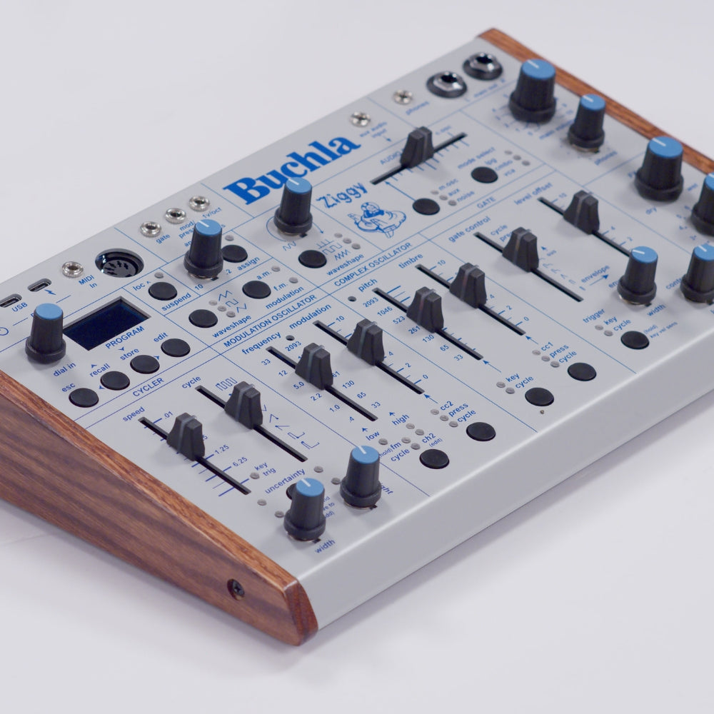 Buchla Ziggy