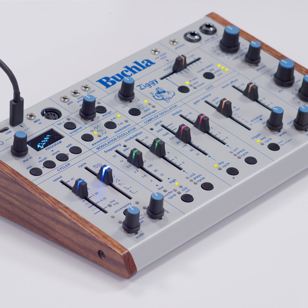 Buchla Ziggy