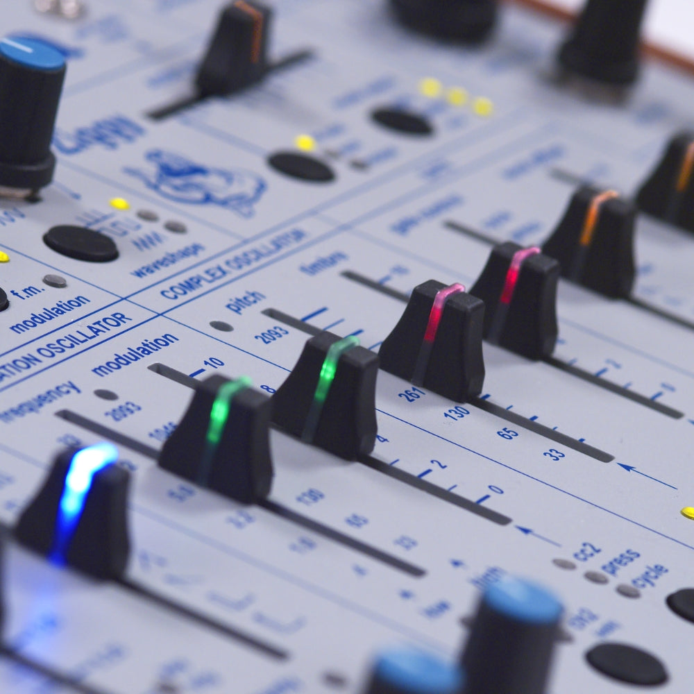 Buchla Ziggy