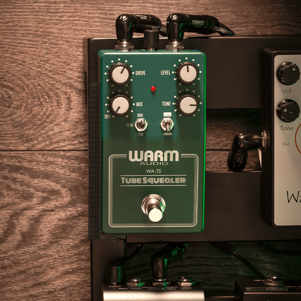 Warm Audio Tube Squealer (WA-TS)