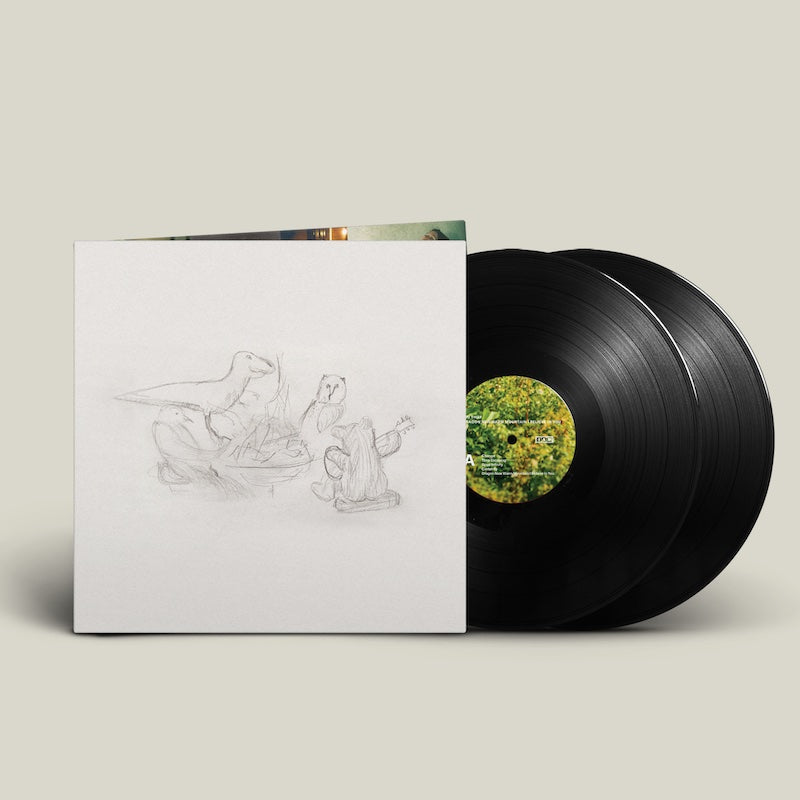 Big Thief - Dragon New Warm Mountain I Believe In You (Black) Vinyl 2LP