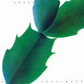 Green vinyl LP of Hiroshi Yoshimura's electronic album "Green" by Light in the Attic Records, showing the album cover and record details