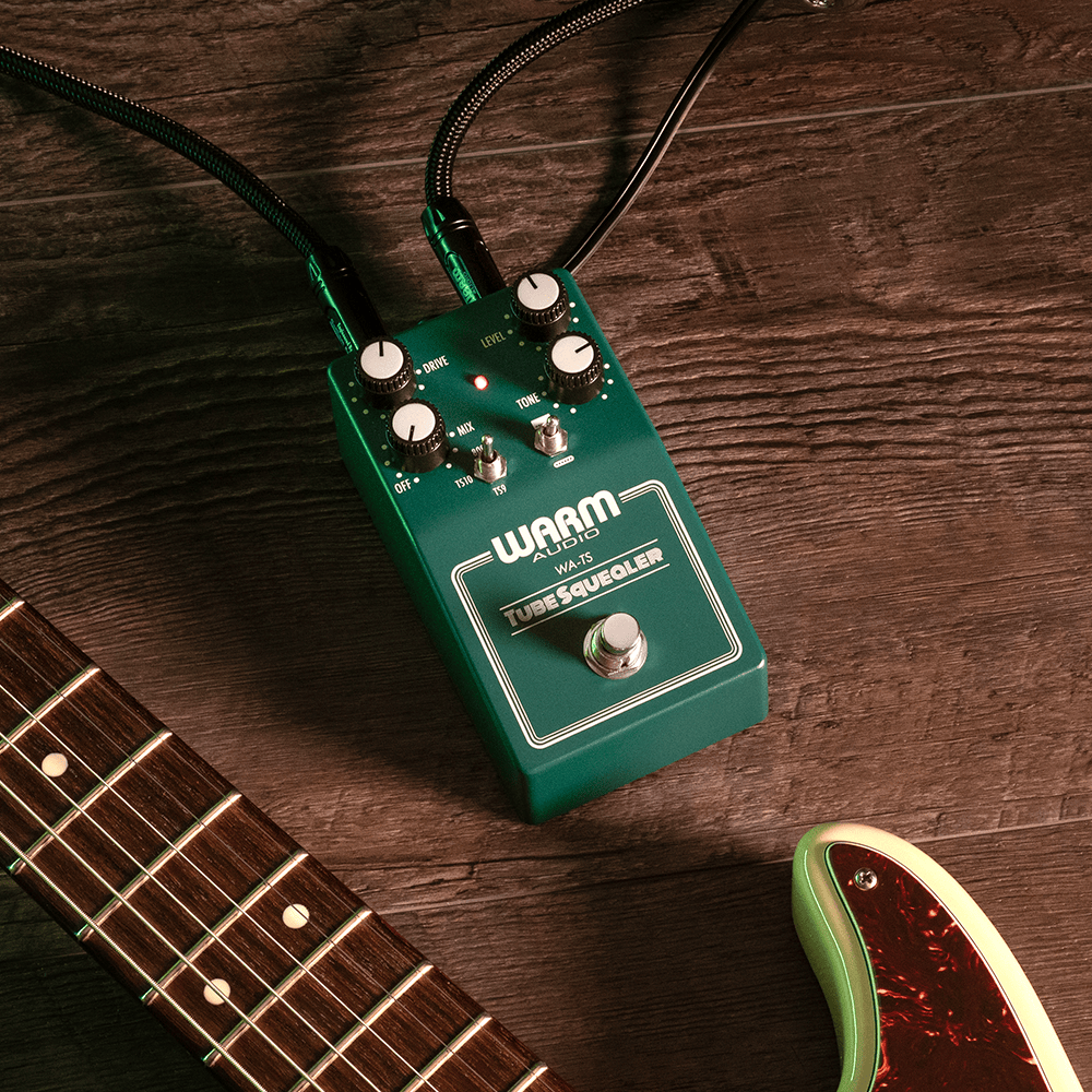 Warm Audio Tube Squealer (WA-TS)
