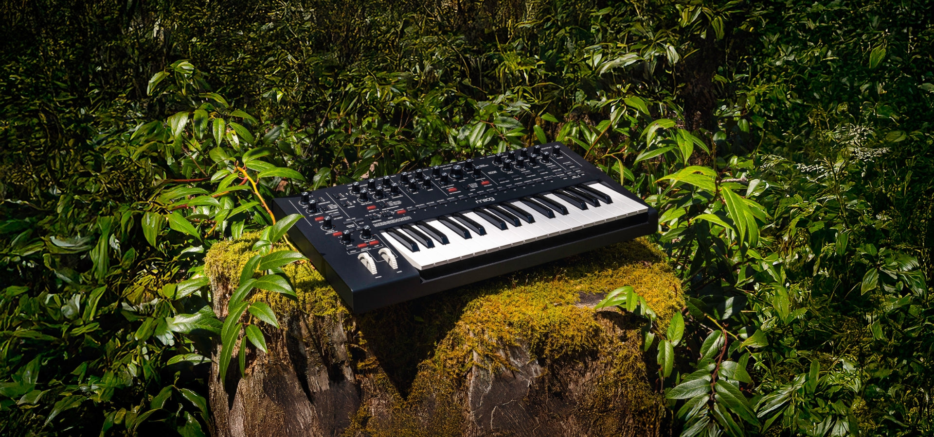 Soundium