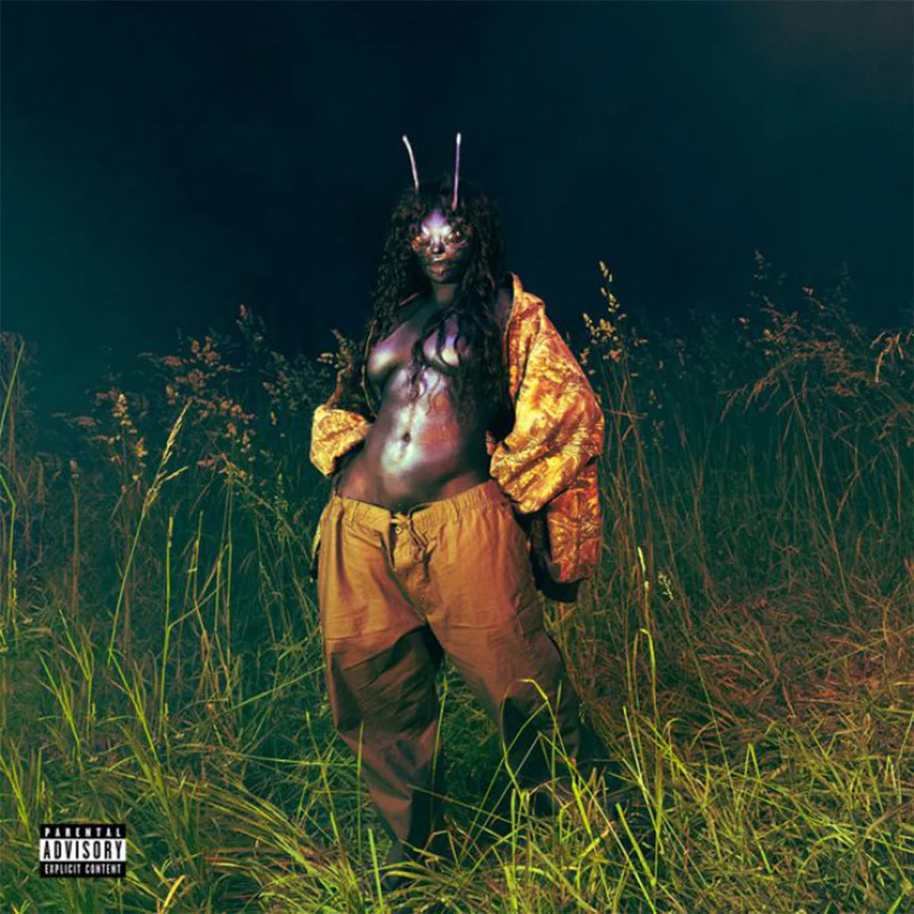 Hip-hop / Rap / Trap