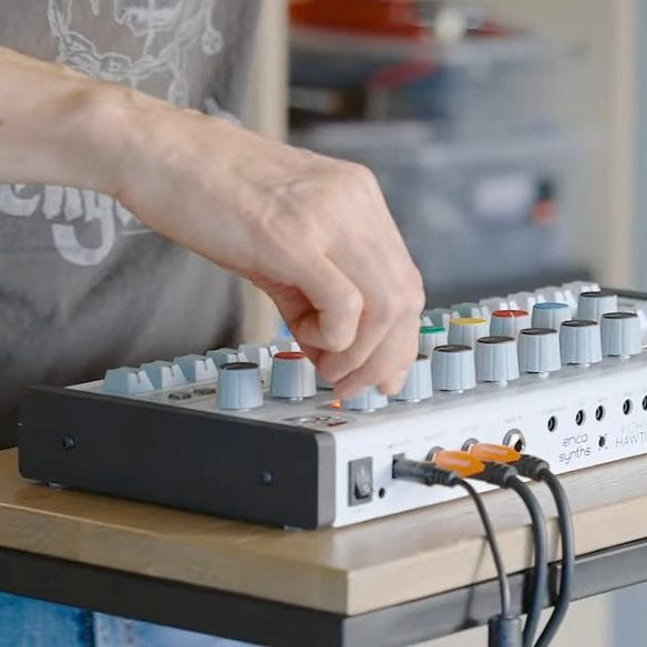 Erica Synths Bullfrog Drums