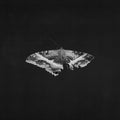 Kendrick Lamar - To Pimp a Butterfly (Black) Vinyl 2LP