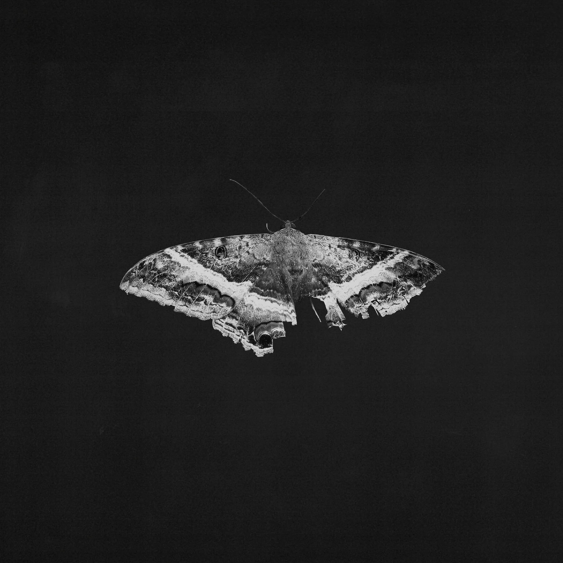 Kendrick Lamar - To Pimp a Butterfly (Black) Vinyl 2LP
