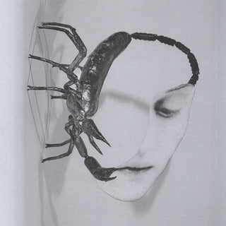 Rock / Indie / Pop