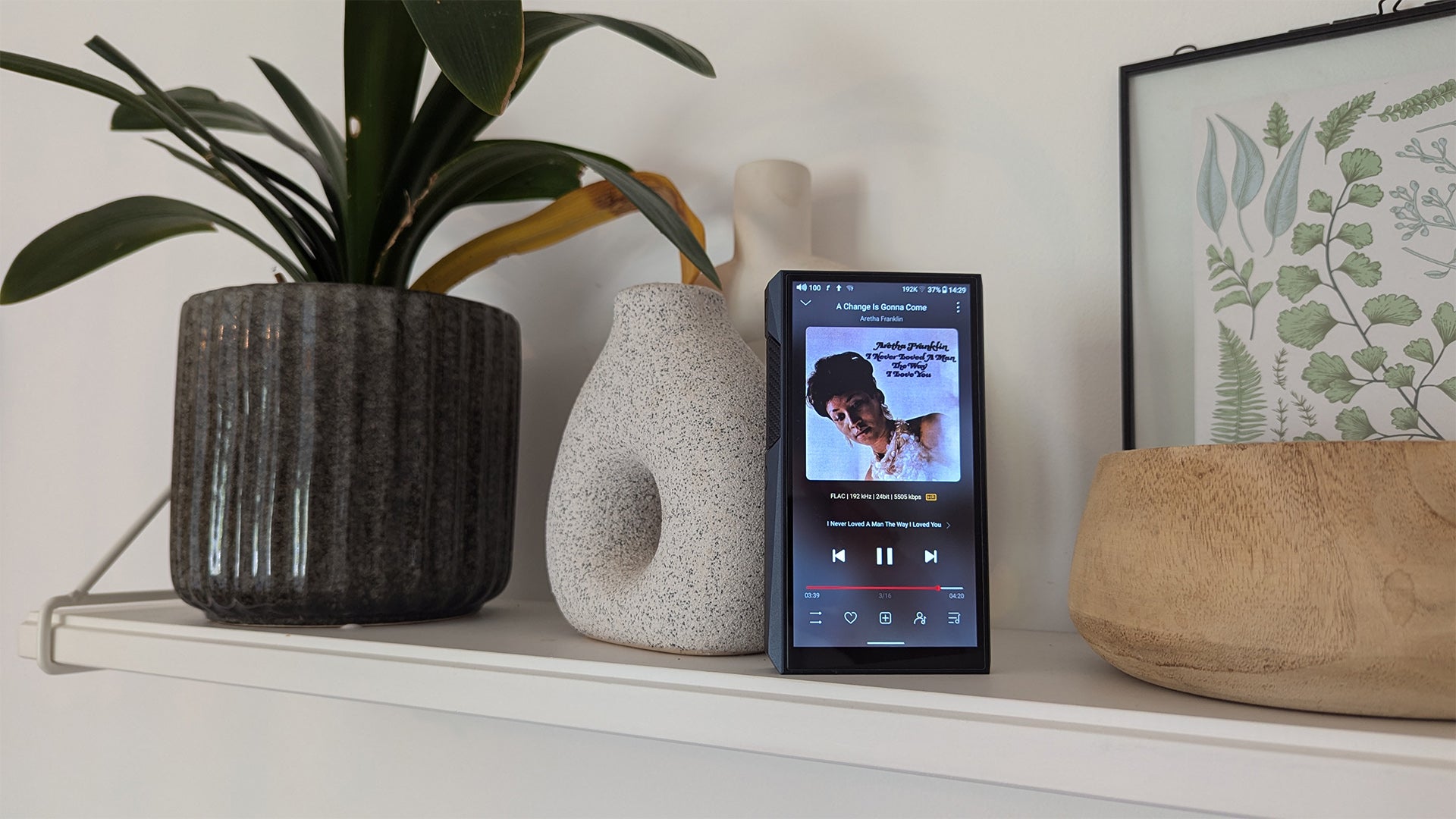 FiiO M23