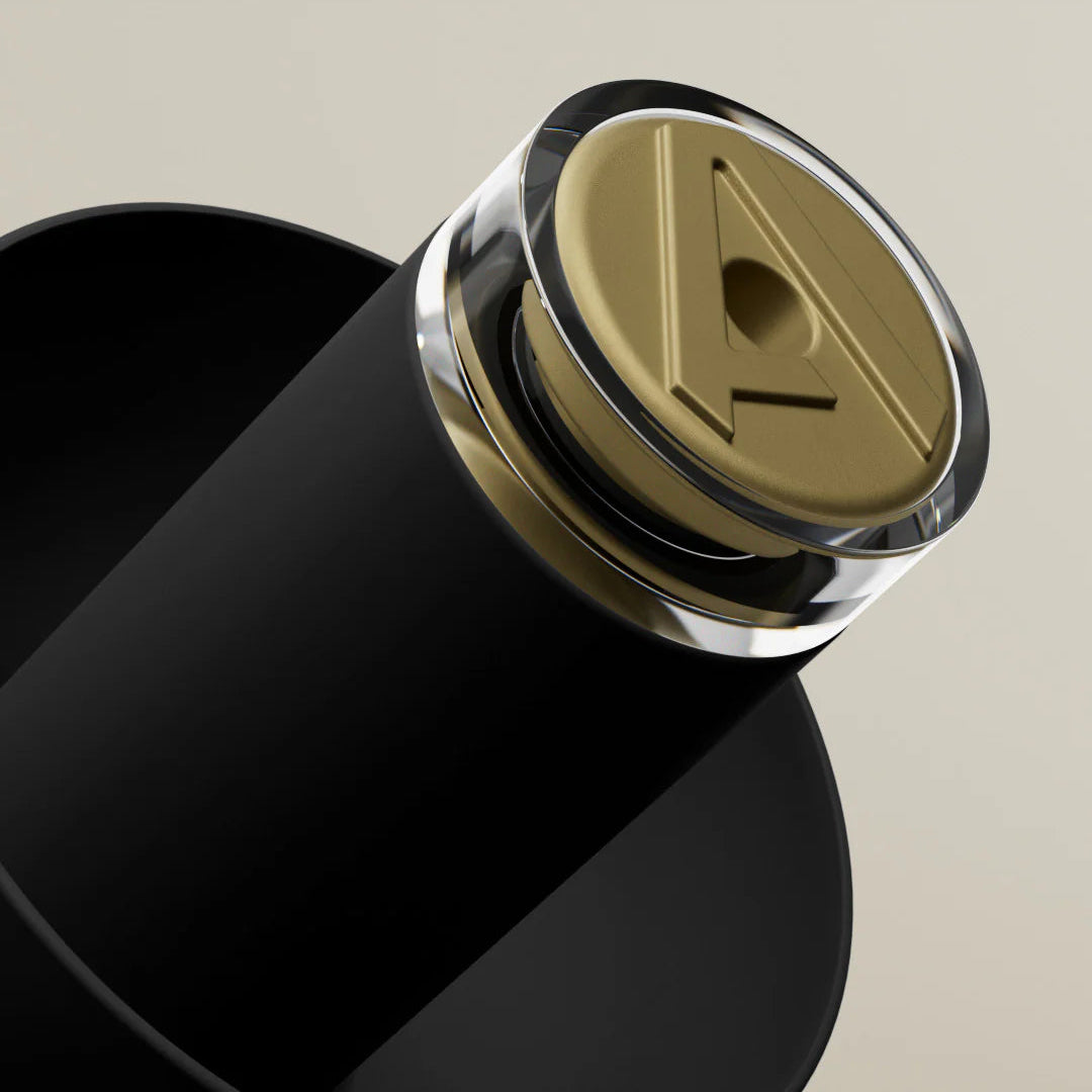 Black Alpine Music Safe Pro earplugs for hearing protection, designed to reduce noise while allowing music to pass through.