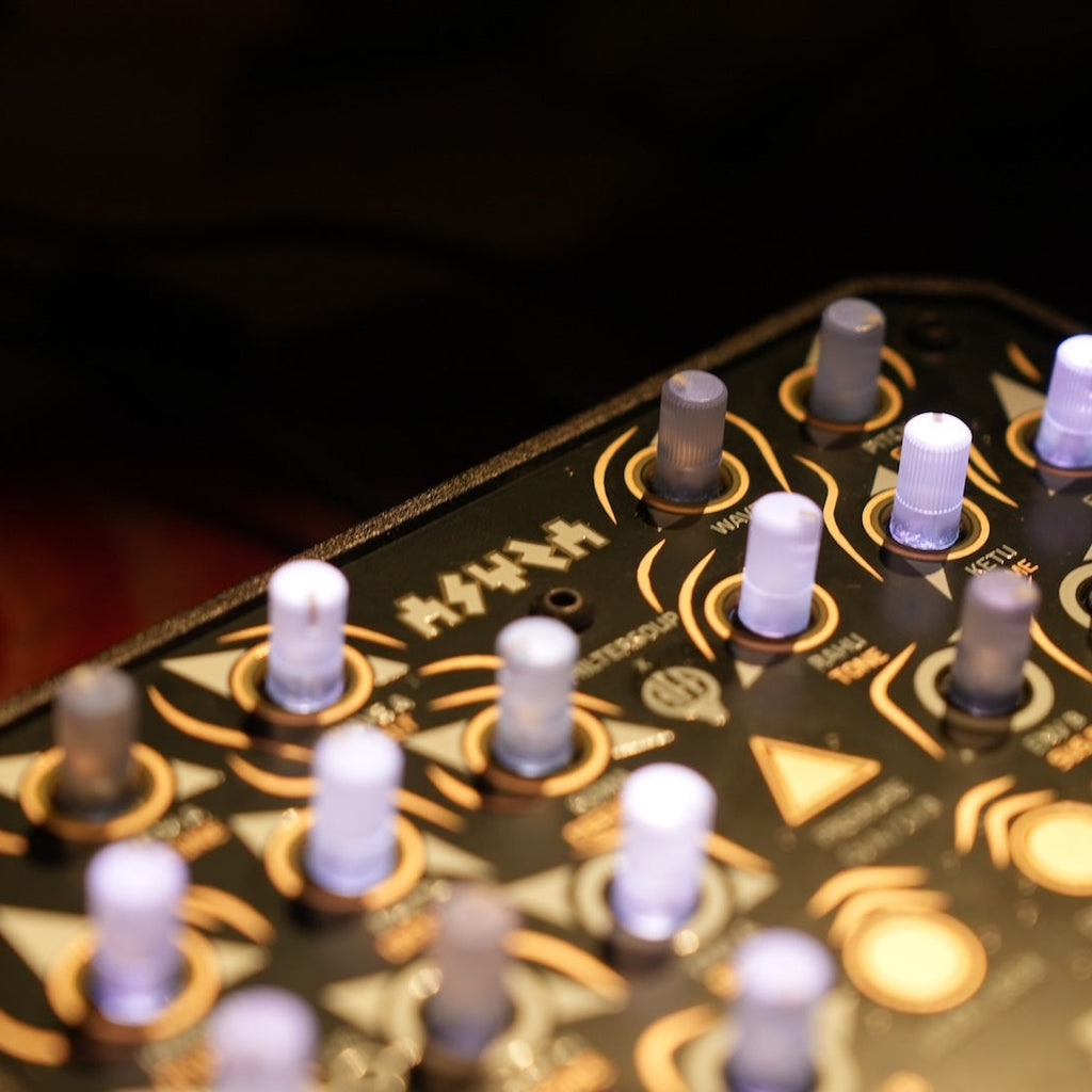 Animal Factory Amplification Asura, close-up of the backlit knobs