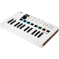 Arturia MiniLab 3 MIDI keyboard with black and gray keys, control knobs, and pad buttons on the front panel.