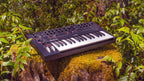 Moog Messenger synthesizer with knobs and controls, compact black Moog synthesizer for music production and sound design.