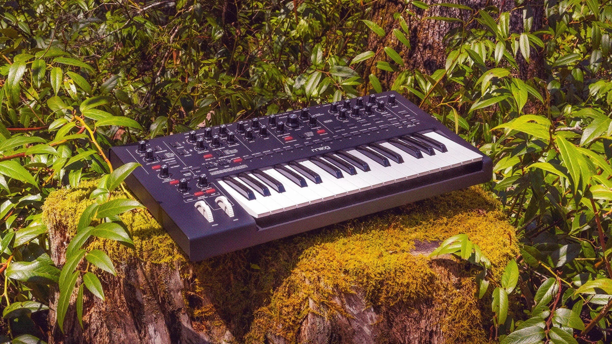 Moog Messenger