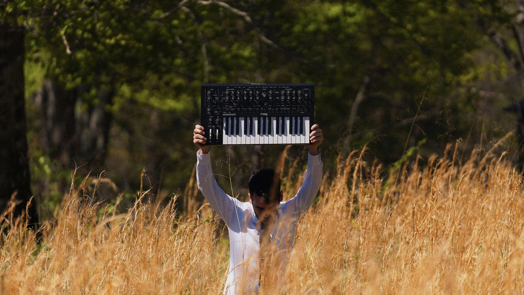 Moog Messenger