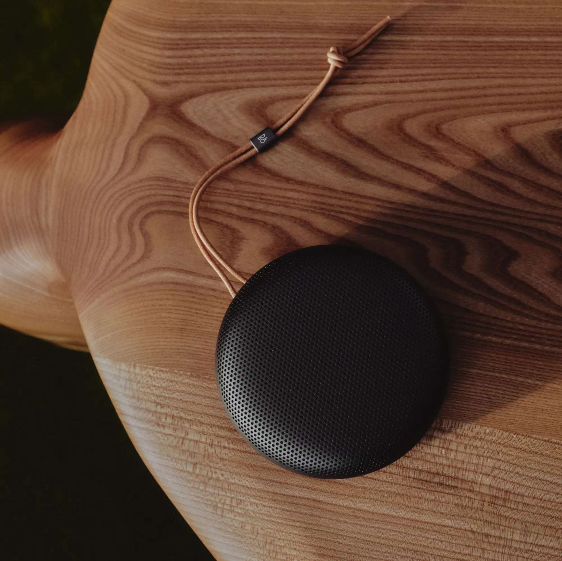 Bang & Olufsen Beosound A1 3rd Gen Bang & Olufsen Beosound A1 3rd Gen