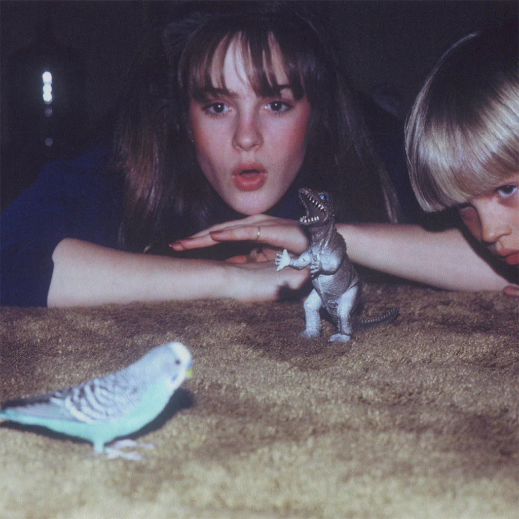 Black vinyl LP of Big Thief's Masterpiece 2023 Remaster, featuring album cover art with the band name and remastered edition text.