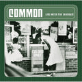 Common - Like Water for Chocolate (Black) Vinyl 2LP - Soundium