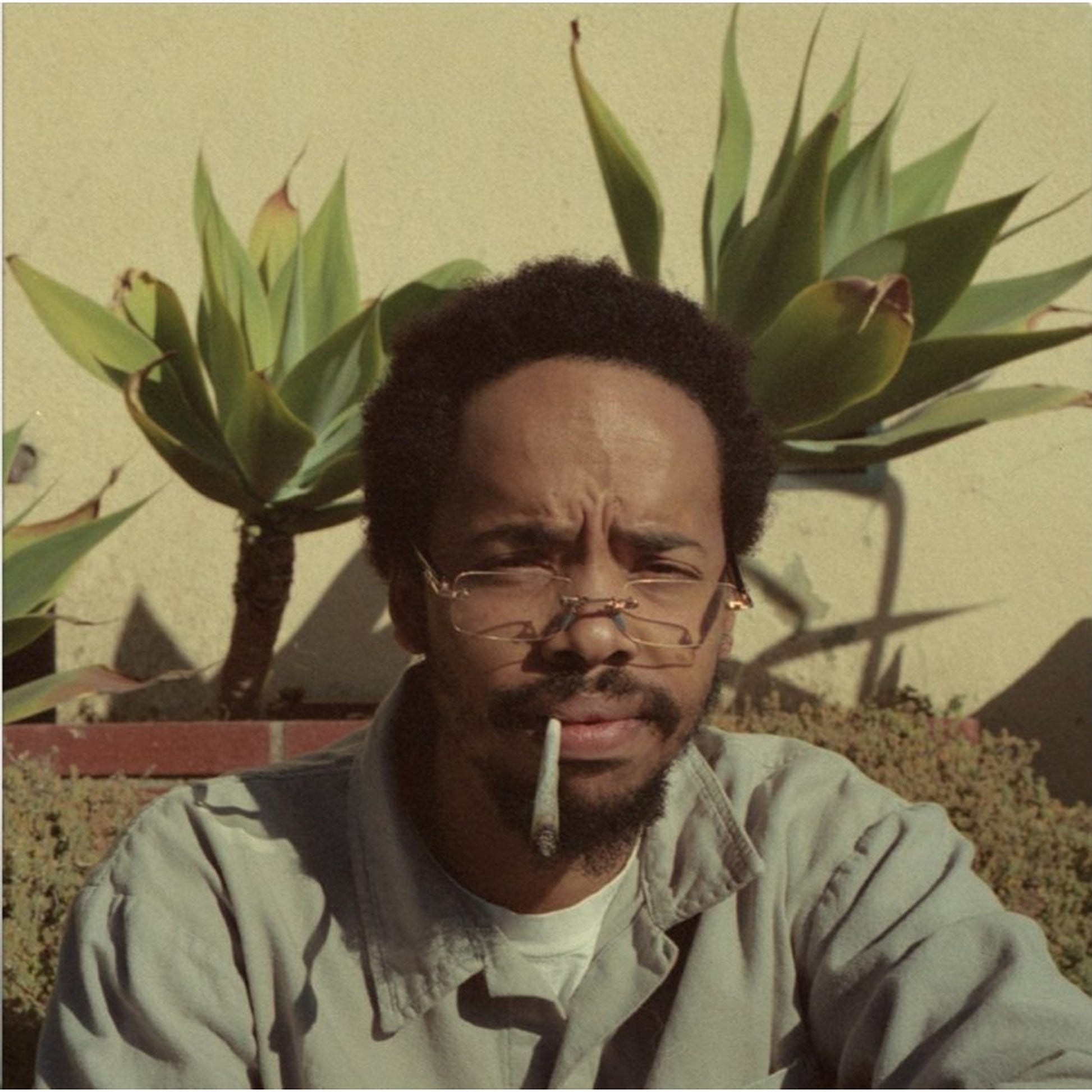 Black vinyl LP of Earl Sweatshirt's "Live Laugh Love" album, featuring hip-hop and rap music, with album cover art visible.
