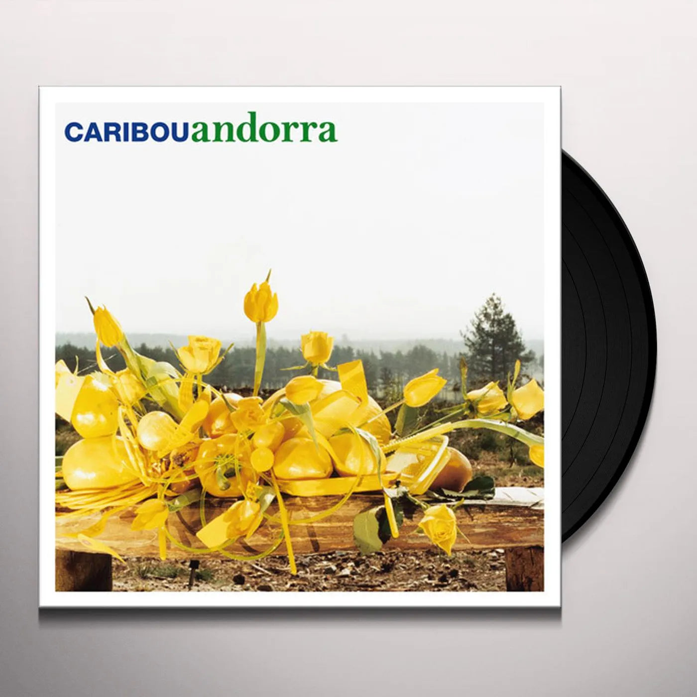Caribou - Andorra (15th Anniversary Edition) (Black) Vinyl LP