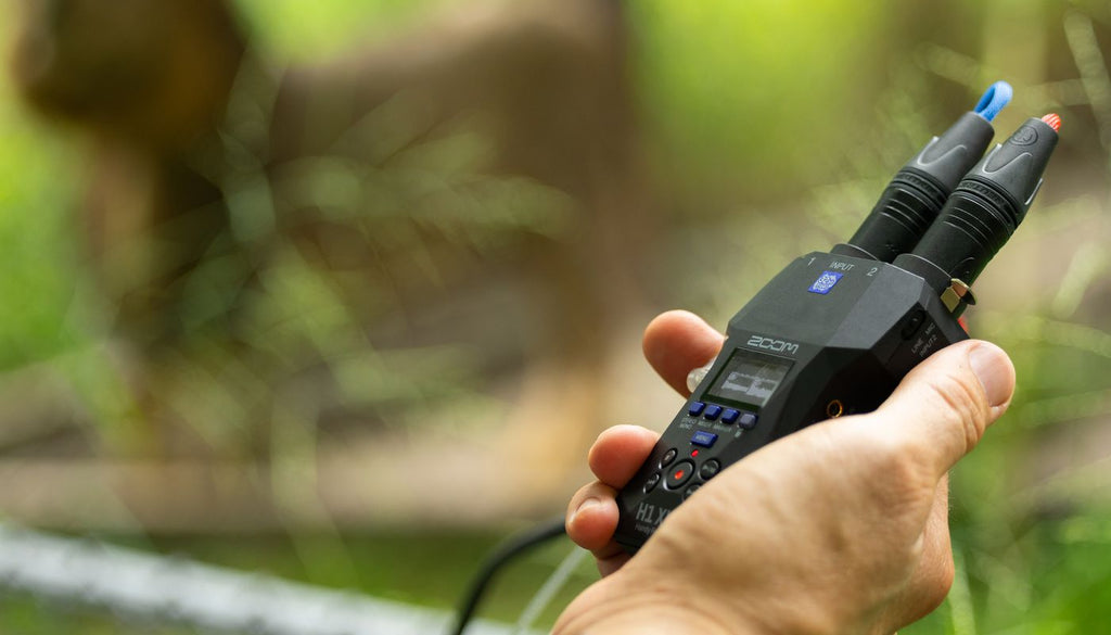 Zoom H1 XLR digital recorder with XLR input and compact design, shown in a close-up image highlighting its controls and ports.