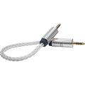 iFi Audio 4.4mm to 4.4mm audio cable showing gold-plated connectors and durable braided cable for high-quality sound connection.